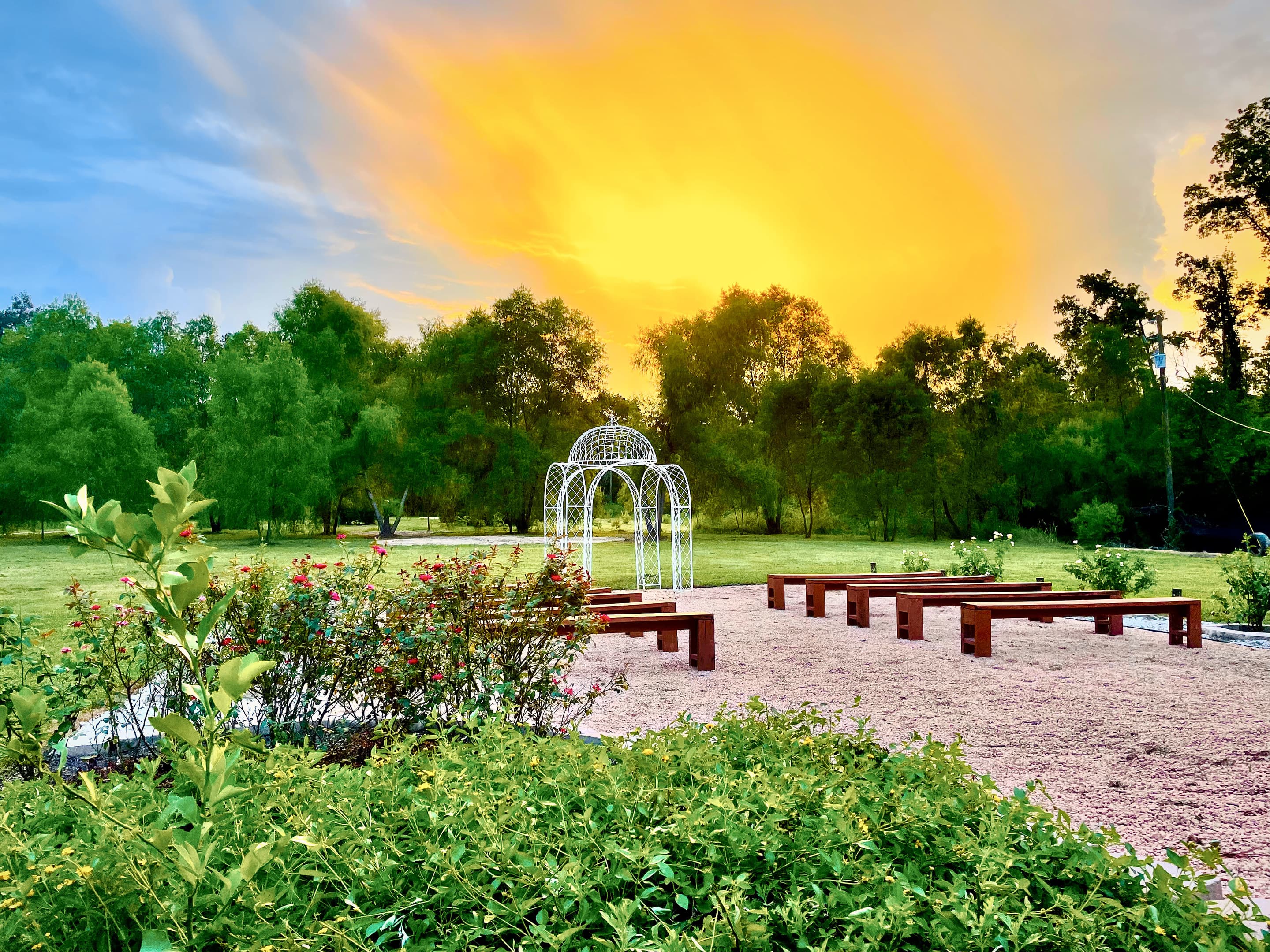 Sunset over the garden ceremony lawn, a white gazebo and timber benches beyond the rose beds