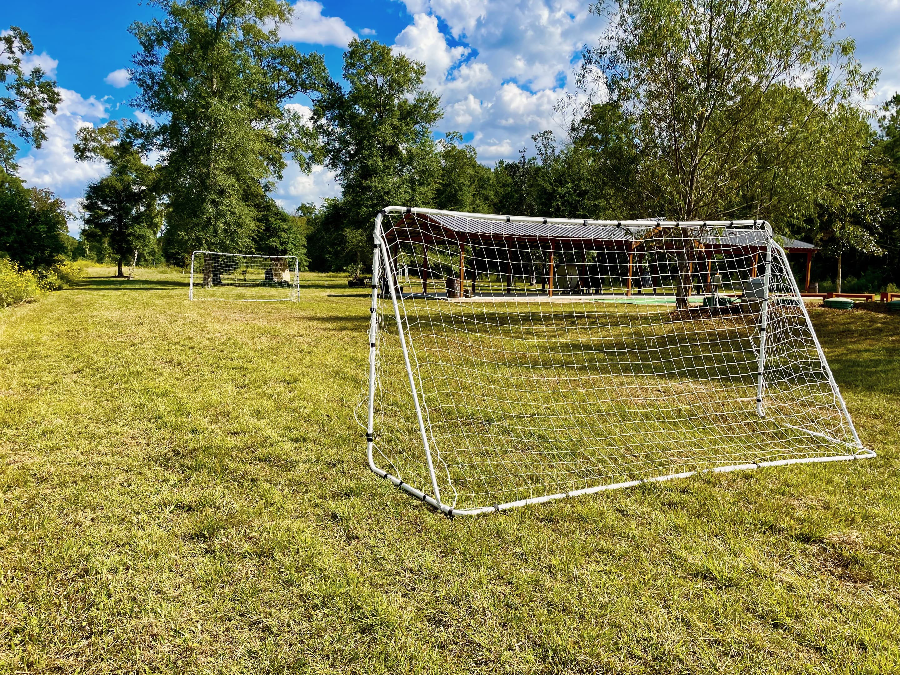 A soccer goal on the open backyard lawn, ringed by trees