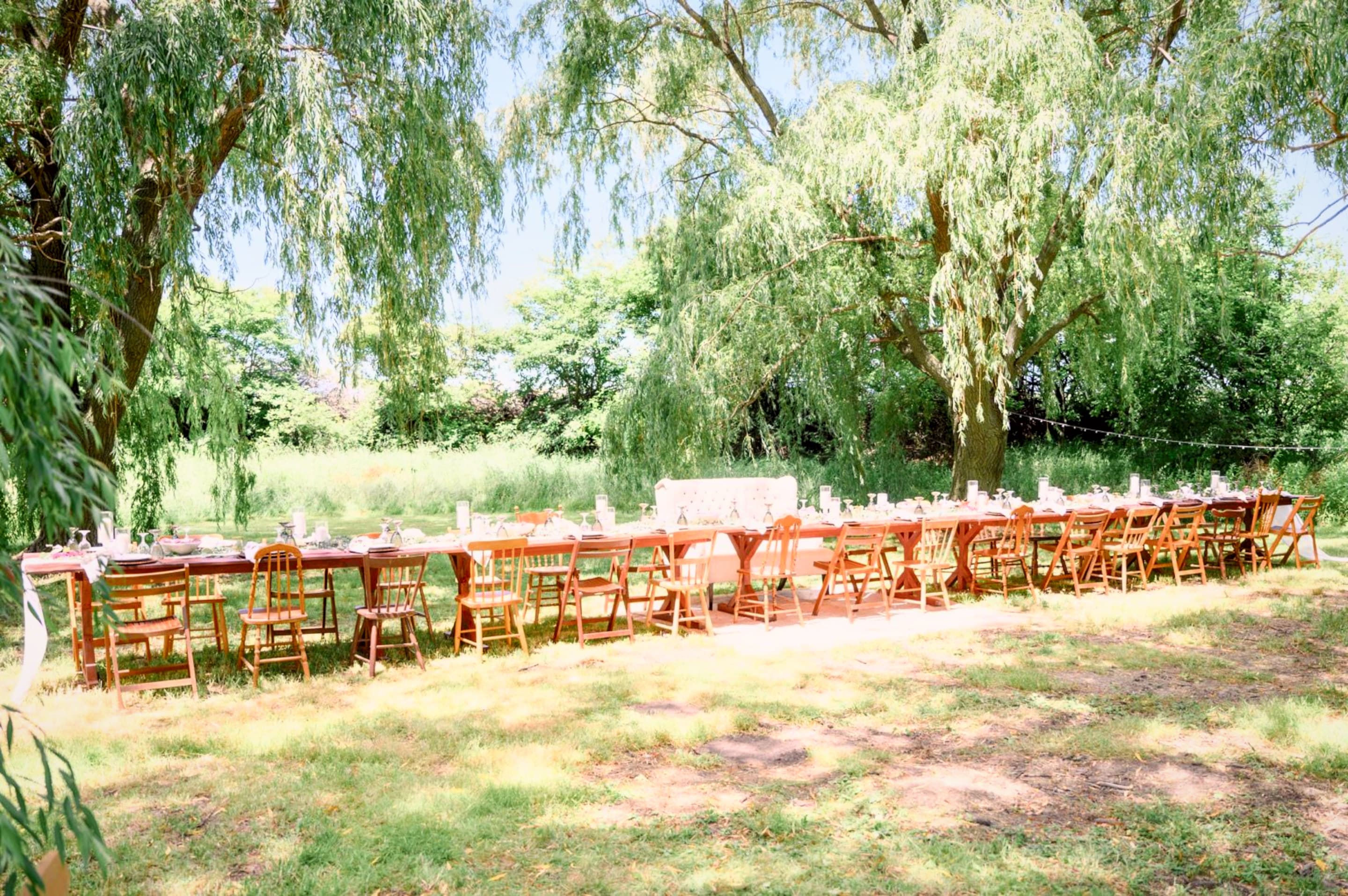 A long outdoor table laid beneath a stand of willows